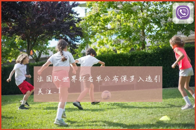 法国队世界杯名单公布保罗入选引关注_1