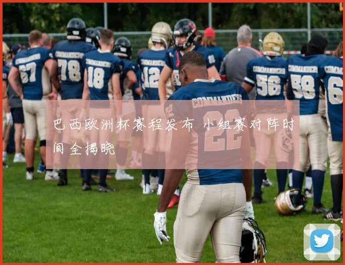 巴西欧洲杯赛程发布 小组赛对阵时间全揭晓