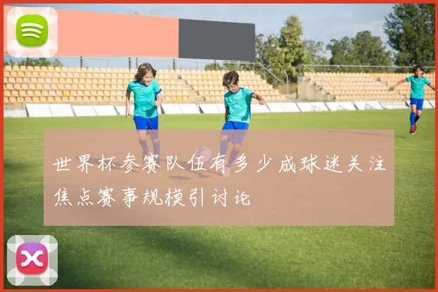 世界杯参赛队伍有多少成球迷关注焦点赛事规模引讨论