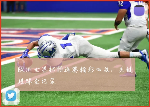 欧洲世界杯预选赛精彩回放,关键进球全记录