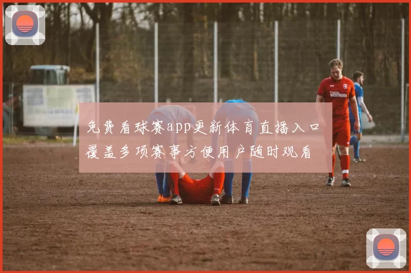 免费看球赛app更新体育直播入口 覆盖多项赛事方便用户随时观看