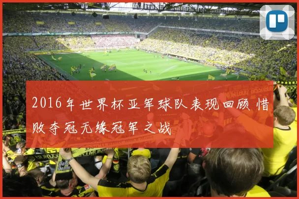 2016年世界杯亚军球队表现回顾 惜败夺冠无缘冠军之战