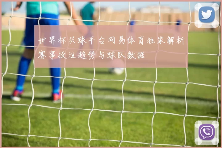 世界杯买球平台网易体育独家解析赛事投注趋势与球队数据